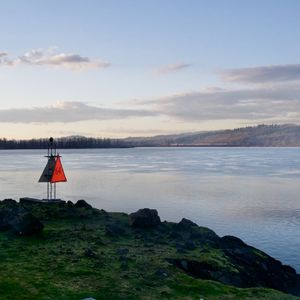 China修理工Gay国产
