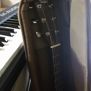 China修理工Gay国产
